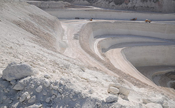 M S Sawa Clay & Minerals Pvt. Ltd.